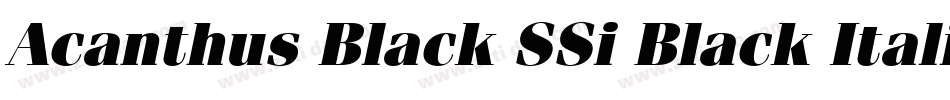 Acanthus Black SSi Black Italic字体转换